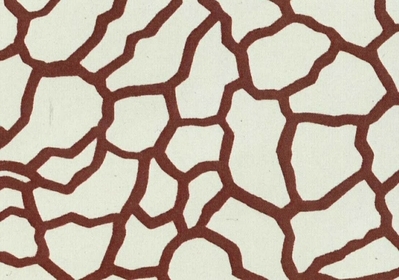 1991_2000\1991.0273.jpg; 1991.0273; ;